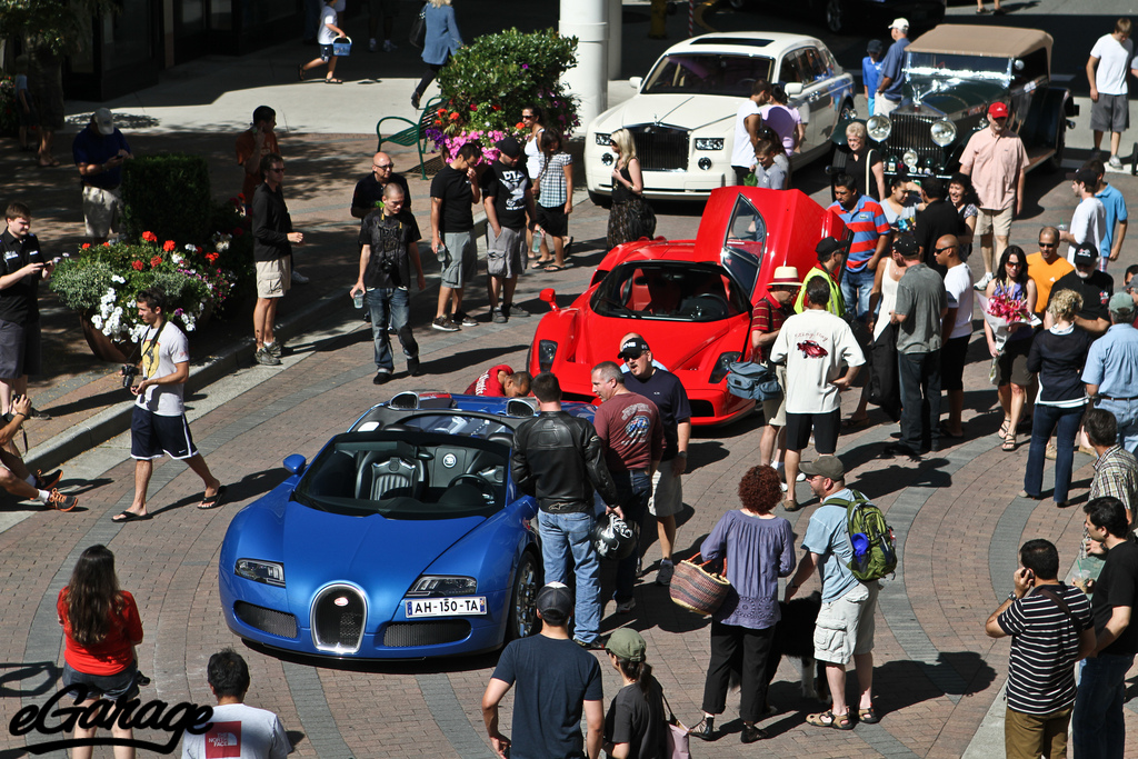 Exotics at redmond town center
