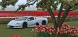 eGarage SSC Ultimate Aero