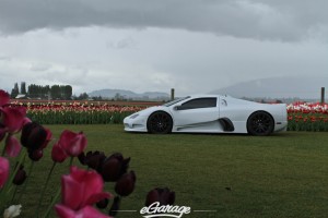 6993619606 ca9fa3ac19 h 300x200 eGarage SSC Ultimate Aero black tulips