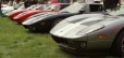 Carroll Shelby Tribute