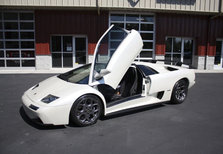 Cats Exotics Diablo