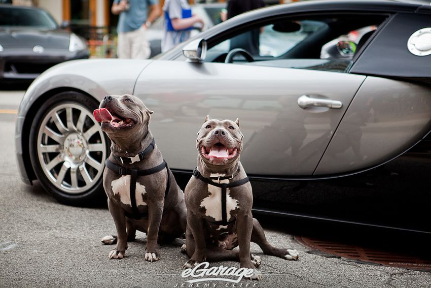 Bugatti Veyron Photographer Spotlight: Jeremy Cliff